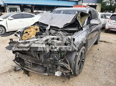 2019, Hyundai / Santa FE, VIN: KMHS381CBKU017002, diesel