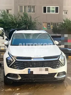 2022, Kia / Sportage, VIN: KNAPX81GBNK006027, gas