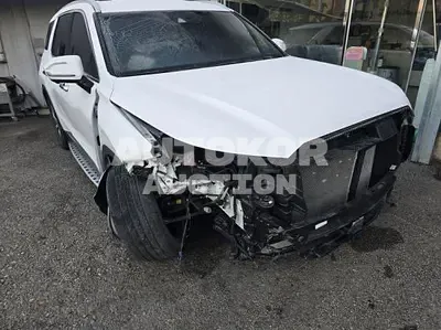 2022, Hyundai / Palisade, VIN: KMHR381ADNU324239, 57208 км., diesel, 2200 куб.см.