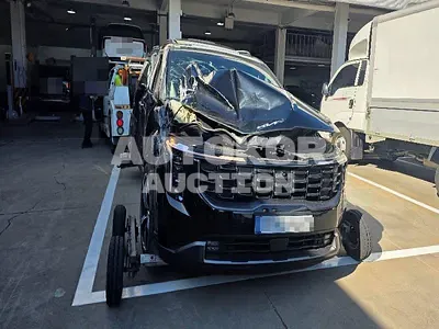 2024, Kia / Carnival, 42709 км., gas, 3500 куб.см.