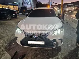 2019, Lexus / ES 300, VIN: JTHB21B16K2056478, hybrid
