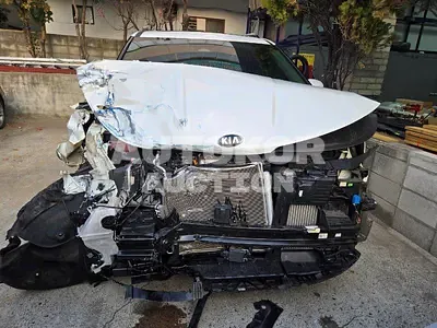 2021, Kia / Carnival, VIN: KNANC81BBMS044561, 37679 км., diesel, 2200 куб.см.