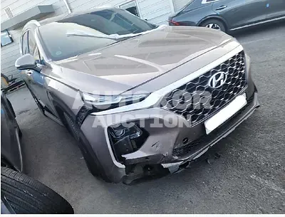 2019, Hyundai / Santa FE, VIN: 2KMHS381CBKU13674, 84583 км., diesel