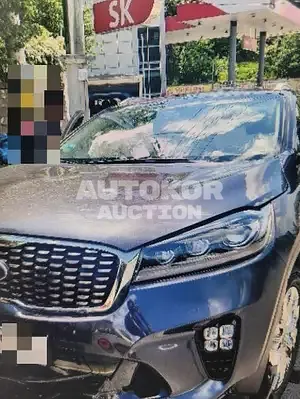 2018, Kia / Sorento, 110000 км., diesel