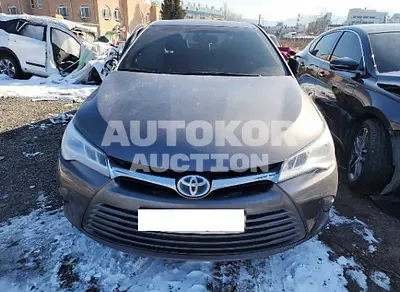2017, Toyota / Camry, VIN: 4T1BD1FK0HU228012, hybrid