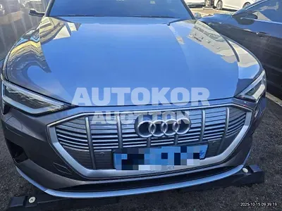 2020, Audi / e-tron, 89353 км., electric