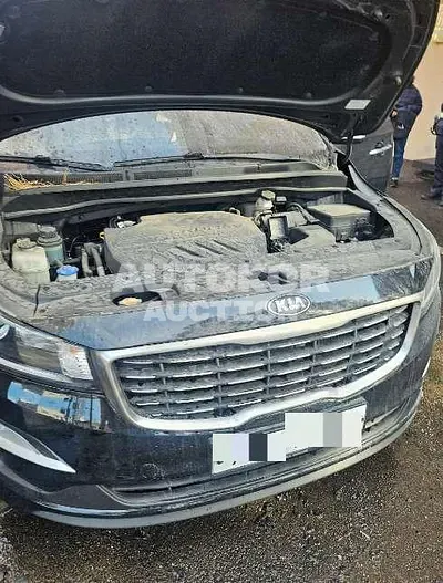 2018, Kia / Carnival, diesel