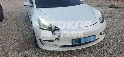 2021, Tesla / Model 3, 232560 км., electric