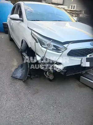 2018, BMW / Z1, VIN: KNAF541BEKA008732, 60000 км., gas