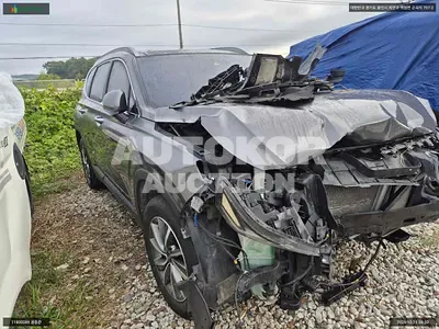 2018, Hyundai / Santa FE, VIN: KMHS281CDKU050743, diesel, 2199 куб.см.