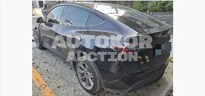 2024, Tesla / Model Y, electric, 173 куб.см.