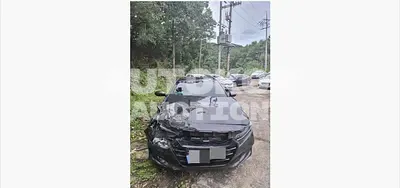 2019, Honda / Accord, 76571 км., gas, 1498 куб.см.
