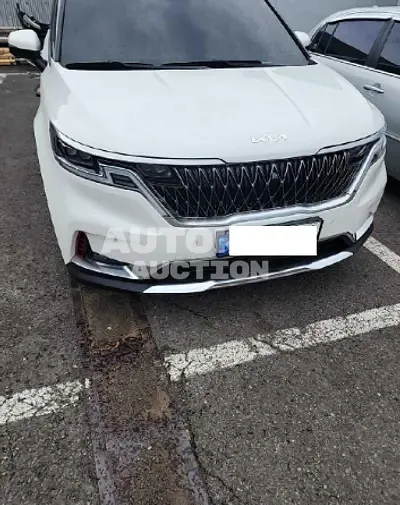 2021, Kia / Carnival, VIN: KNANC81BBMS080729, diesel