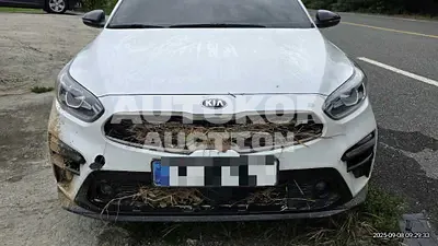 2020, Kia / K3, 76731 км., gas, 1600 куб.см.