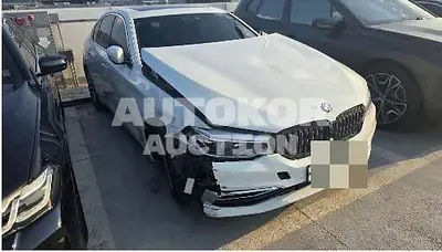 2017, BMW / 520, 110282 км., diesel, 1995 куб.см.