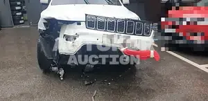 2018, Jeep / Grand Cherokee, VIN: 1C4RJFBGXJC163742, 60556 км., gas