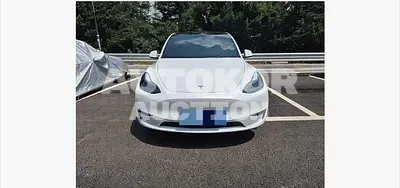 2025, Tesla / Model Y, 99999 км., electric, 173 куб.см.