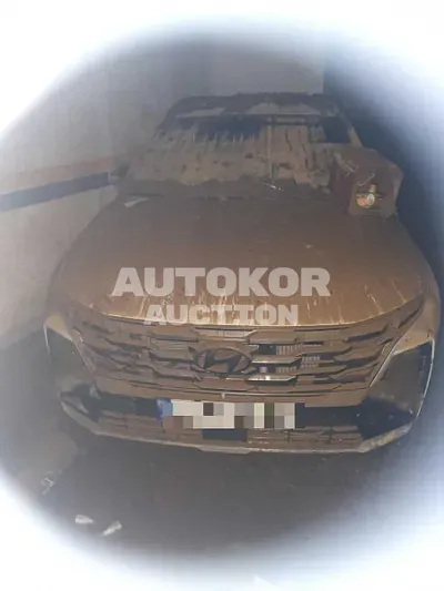 2024, Hyundai / Tucson, gas, 1600 куб.см.