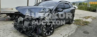 2024, Kia / Sportage, VIN: KNAPV81BGRK230618, 11293 км., gas, 1600 куб.см.