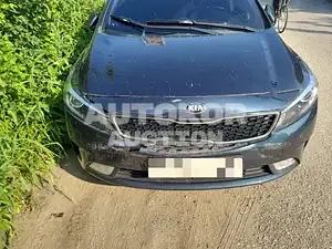 2017, BMW / Z1, VIN: KNAFK412BJA982982, gas