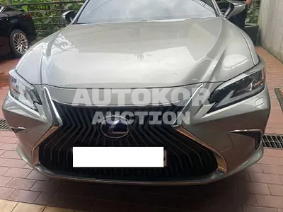 2021, Lexus / ES 300, VIN: JTHBA1C19M2004122, 32378 км., hybrid
