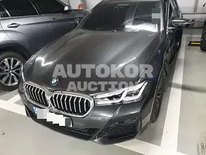 2021, BMW / 520, VIN: WBA11BH06MWX18069, gas