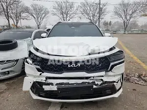 2023, Kia / Sorento, VIN: KNARJ81GBPA204006, 10209 км., hybrid, 1598 куб.см.