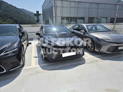 2019, Toyota / Camry, VIN: JTNB11HK4K3098934, 71357 км., gas