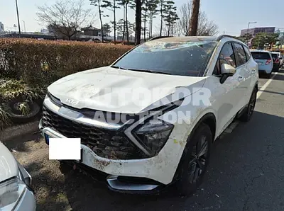 2022, Kia / Sportage, VIN: KNAPY81BGNK076193, gas, 1600 куб.см.