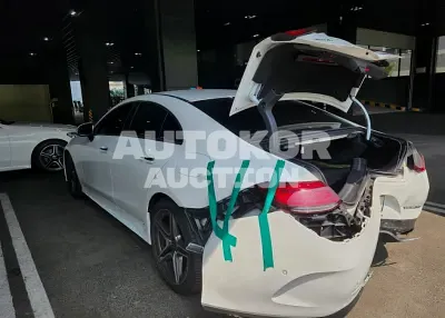 2020, Mercedes-Benz / CLS 300, VIN: WDD2J1JBXLA053692, 31449 км., diesel