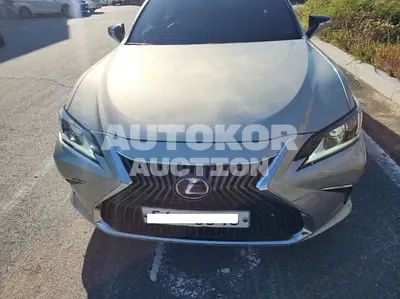 2019, Lexus / es300h, VIN: JTHB21B15K2010866, 76909 км., hybrid