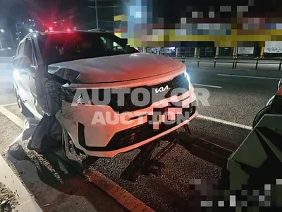 2023, Kia / Sorento, 45000 км., hybrid, 1600 куб.см.