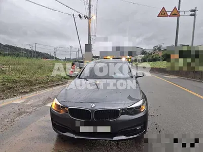 2020, BMW / 320, 78738 км., diesel