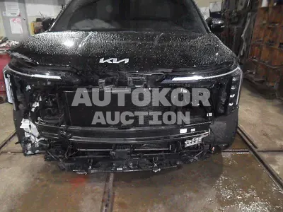 2024, Kia / Carnival, gas, 3500 куб.см.