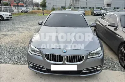 2016, BMW / 520d, VIN: WBA5E7109GG157166, 170728 км., diesel