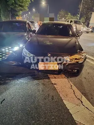 2018, BMW / 320, gas