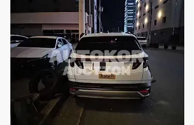 2024, Hyundai / Tucson, gas, 1600 куб.см.