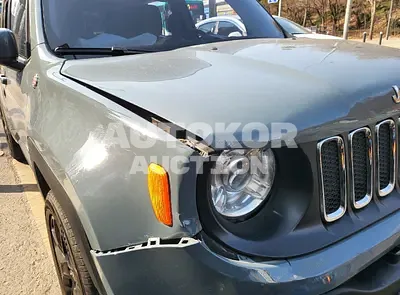 2017, Jeep / Renegade, VIN: 1C4BU0000HPF93832, 66698 км., gas