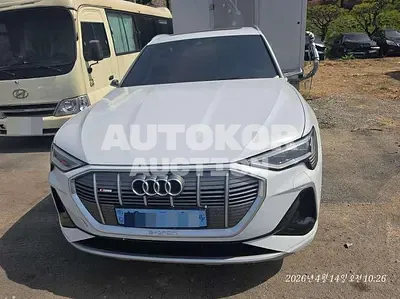 2021, Audi / e-tron sportback, 167225 км., electric