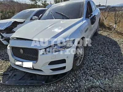 2017, Jaguar / F-Pace, VIN: SADCA2BN0HA897667, 120957 км., diesel