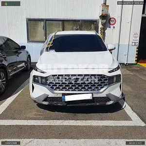 2020, Hyundai / Santa FE, VIN: KMHS381HGMU311772, 12754 км., diesel