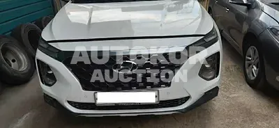 2019, Hyundai / Santa FE, VIN: KMHS381BDKU161183, diesel