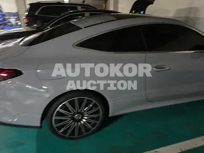 2024, Mercedes-Benz / E 450, gas, 2999 куб.см.