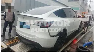 2021, Tesla / Model Y, 60000 км., electric, 236 куб.см.