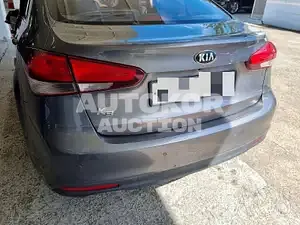 2017, BMW / Z1, VIN: KNAFK412BHA970400, 43409 км., gas