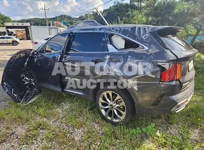 2023, Kia / Sorento, VIN: KNARF81FGPA173589, gas