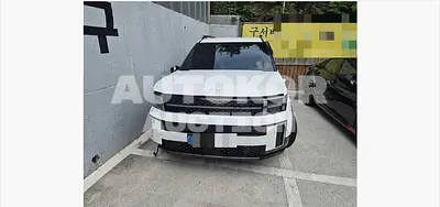2024, Hyundai / Santa FE, 29000 км., hybrid, 1598 куб.см.