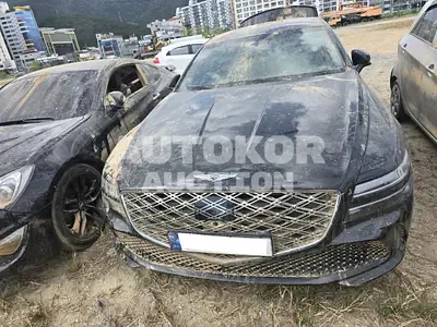 2025, Genesis / G80, VIN: KMTGB41CBTU318371, gas, 2497 куб.см.