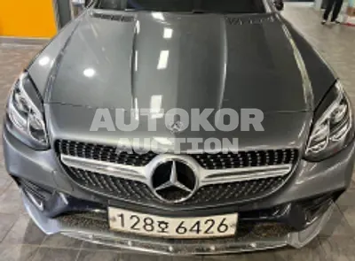 2019, Mercedes-Benz / C 250, VIN: WDDPK3FA2KF160526, gas