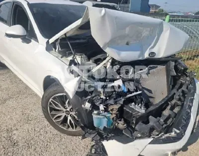 2020, BMW / B5, 21799 км., gas, 2000 куб.см.